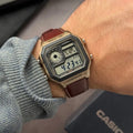 Casio illuminator