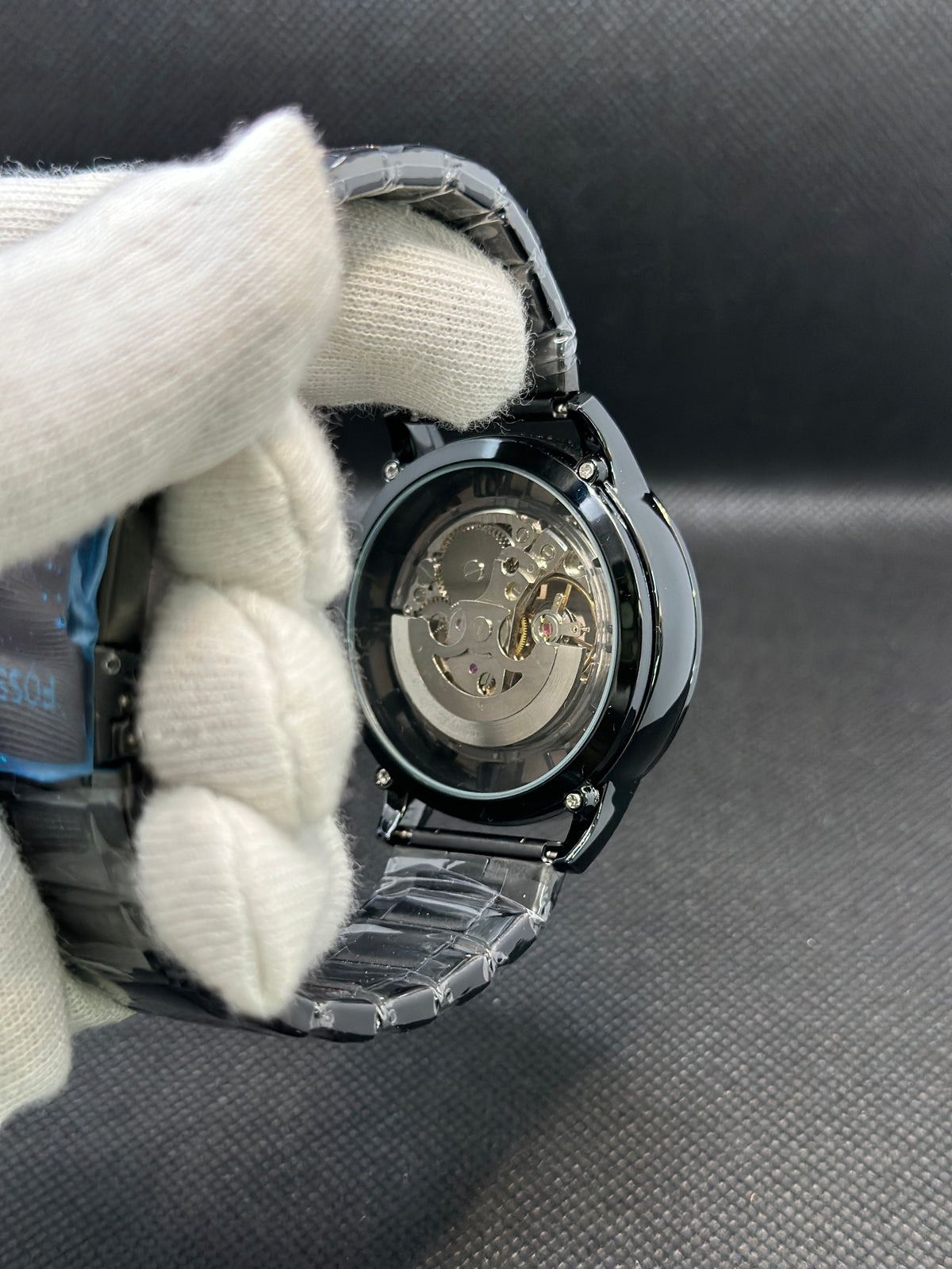 Fossil_cow_boys